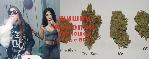 шишки Армянск