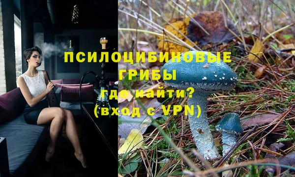 шишки Армянск